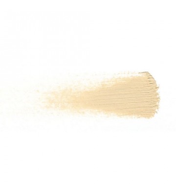 T. LECLERC Korektor Professional concealer 01 Clair 