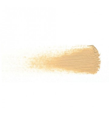 T. LECLERC Korektor Professional concealer 03 Fonce 